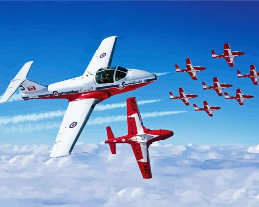Snowbirds Planes paint by number