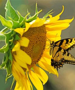 Sunflower With Butterfly Insect paint by number