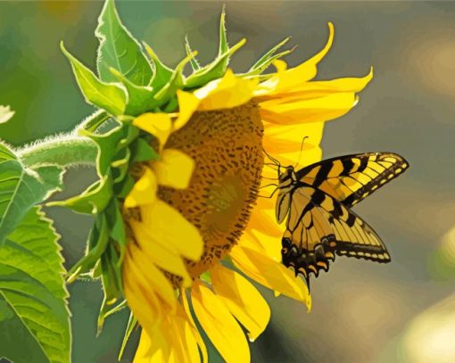 Sunflower With Butterfly Insect paint by number