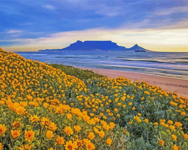 Table Mountain National Park paint by number