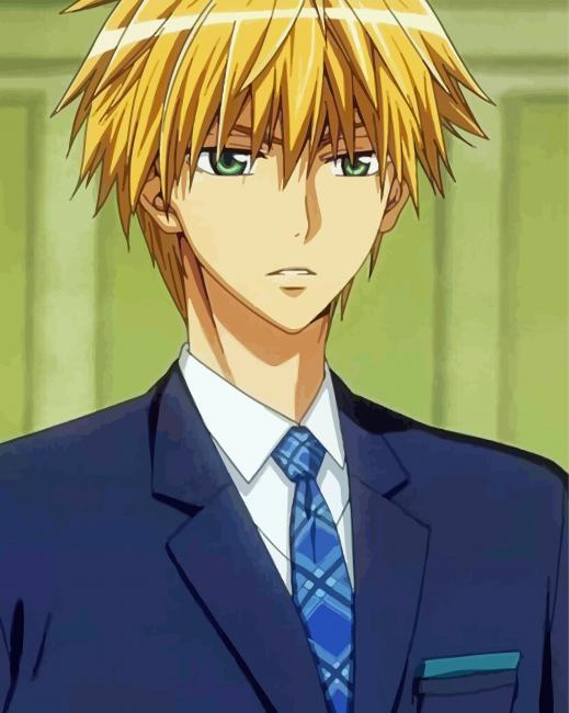 Takumi Usui Anime - Paint By Number - NumPaints - Paint by numbers