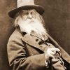Walt Whitman American Poet paint by number