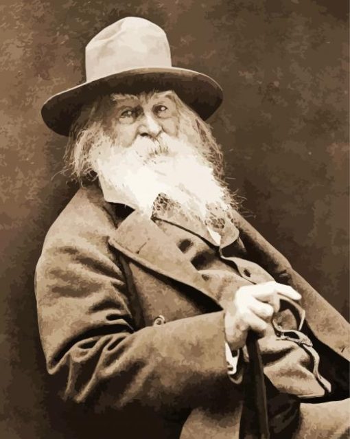 Walt Whitman American Poet paint by number