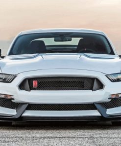 White Ford Shelby GT350R paint by number