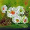 White Musk Rose Plants paint by number