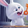 Adorable Snowball Secret Life Of Pets paint by number