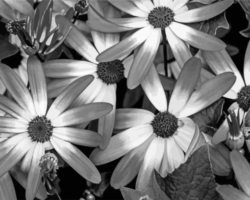 Aesthetic Black And White Flowers paint by number