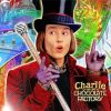 Aesthetic Charlie And The Chocolate Factory paint by number