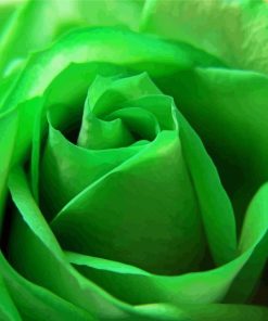 Aesthetic Green Rose paint by number