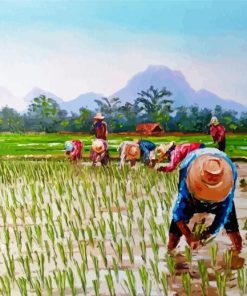 Aesthetic Rice Field paint by number