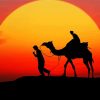 Aesthetic Moroccan Camel Tour Silhouette paint by number