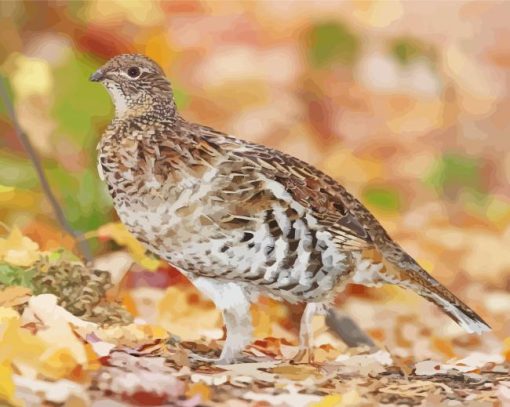 Aesthetic Ruffed Grouse paint by number