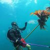 Aesthetic Underwater Spearfishing paint by number