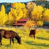 Barn And Horses In Autumn paint by number