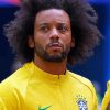 Brazilian Footballer Marcelo Vieira paint by number