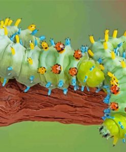 Caterpillar Insect paint by number