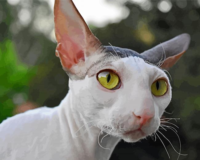 Cornish Rex Kitty Face paint by number