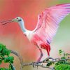Cute Roseau Spoonbill paint by number