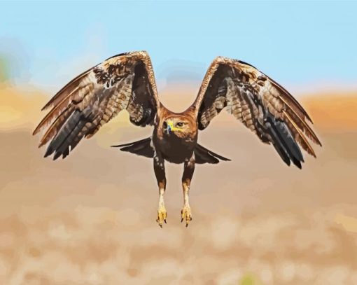 Flying Indian Spotted Eagle Bird paint by number