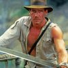 Indiana Jones Actor paint by number