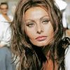 Italian Actress Sophia Loren paint by number