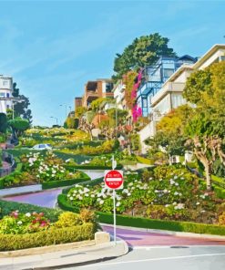 Lombard Street San Francisco paint by number