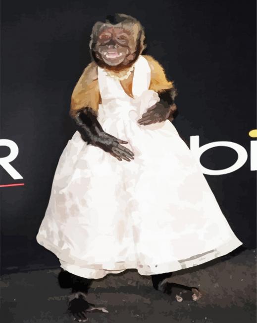 Monkey In Dress paint by number