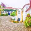 Obidos Houses paint by number