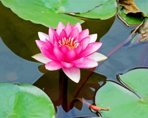 Pink Lotus Blossom paint by number