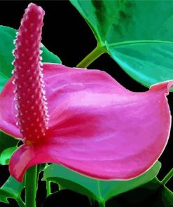 Pink Flamingo Flower paint by number