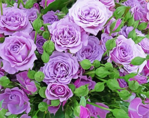 Purple Lilac Rose paint by number