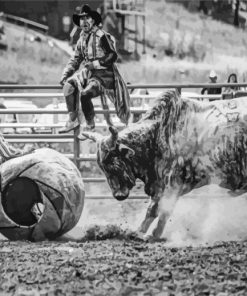 Rodeo Clowns And Bull paint by number