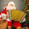 Santa Claus Accordion paint by number