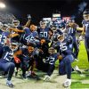 Tennessee Titans Players paint by number