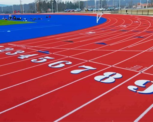 Track And Field Sport paint by number