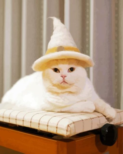 White Wizard Cat With Hat paint by number