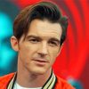 American Actor Drake Bell paint by number