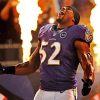 American Footballer Ray Lewis paint by number