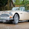 Beige Austin Healey paint by number