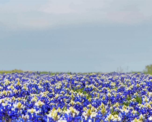 Blue Wildflowers Field paint by number