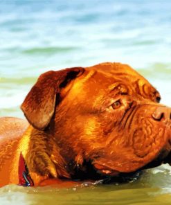 Bordeaux Mastiff In Water Paint by number