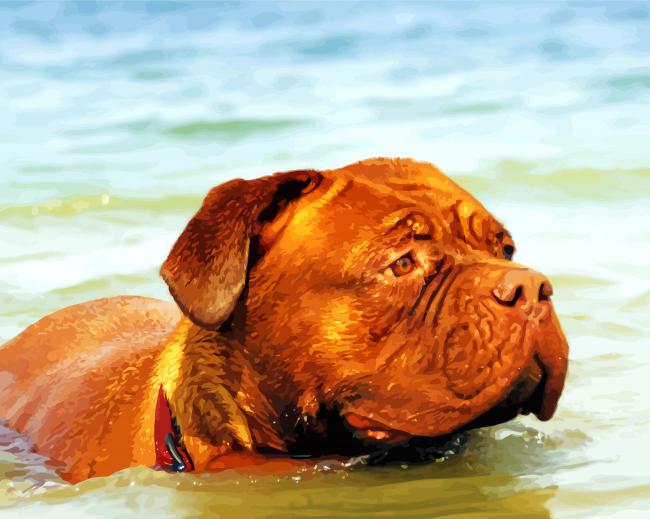 Bordeaux Mastiff In Water - Paint By Number - NumPaints - Paint by numbers