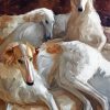Borzoi Dogs Art paint by number