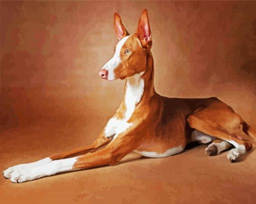 Brown Podenco paint by number