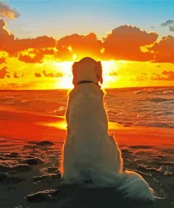 Dog On Beach Sunset Silhouette paint by number