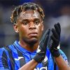 Duvan Zapata Professional Player paint by number