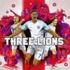 England Football Lions paint by number