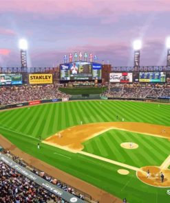 Guaranteed Rate Field paint by number