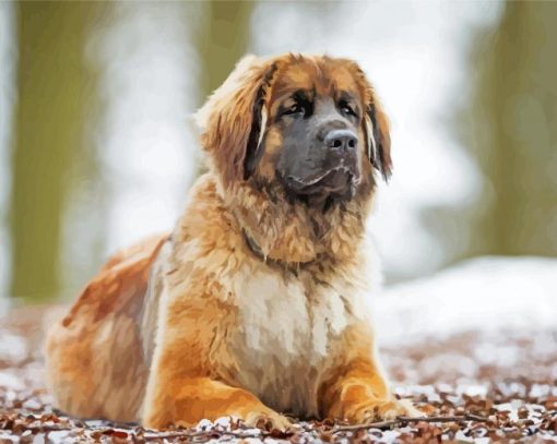 Leonberger Dog Animal paint by number