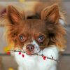 Long Haired Chihuahua Dog paint by number